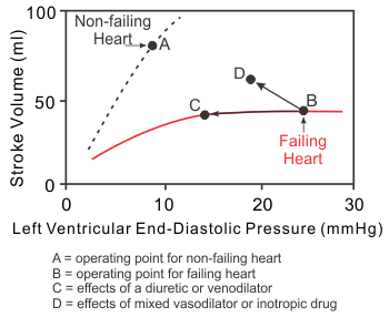 Effects of inotropic, vasodilator and diuretic drugs on ventricular stroke volume and end-diastolic pressure