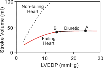 effects of a diuretic on ventricular stroke volume in heart failure patients