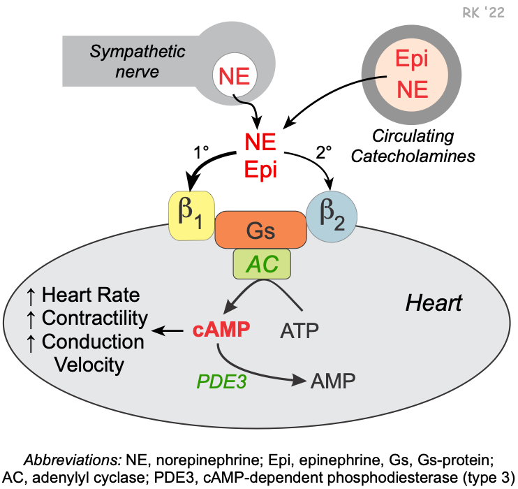 Comparison of labetalol and propranolol in hypertension