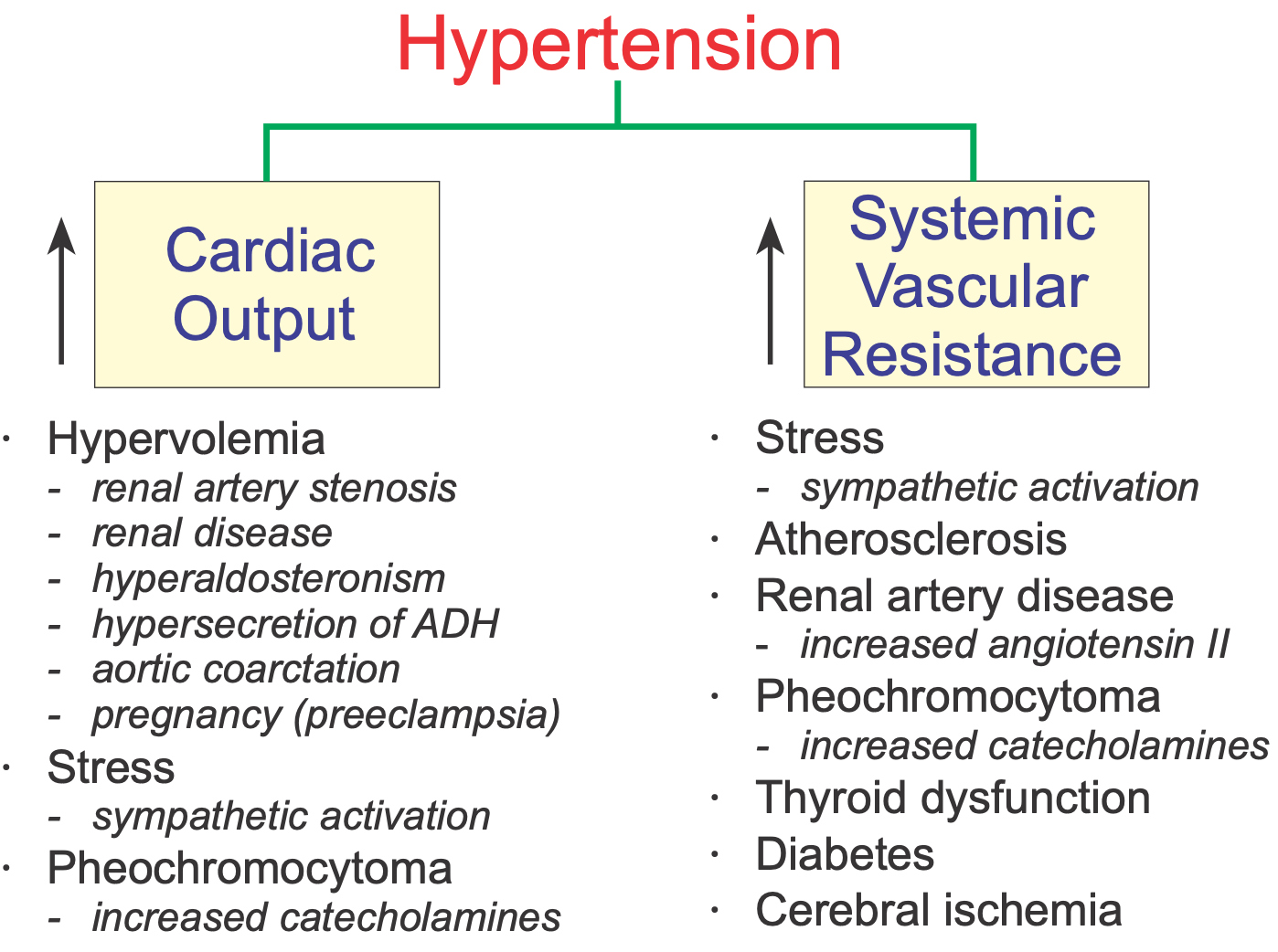 hypertension causes